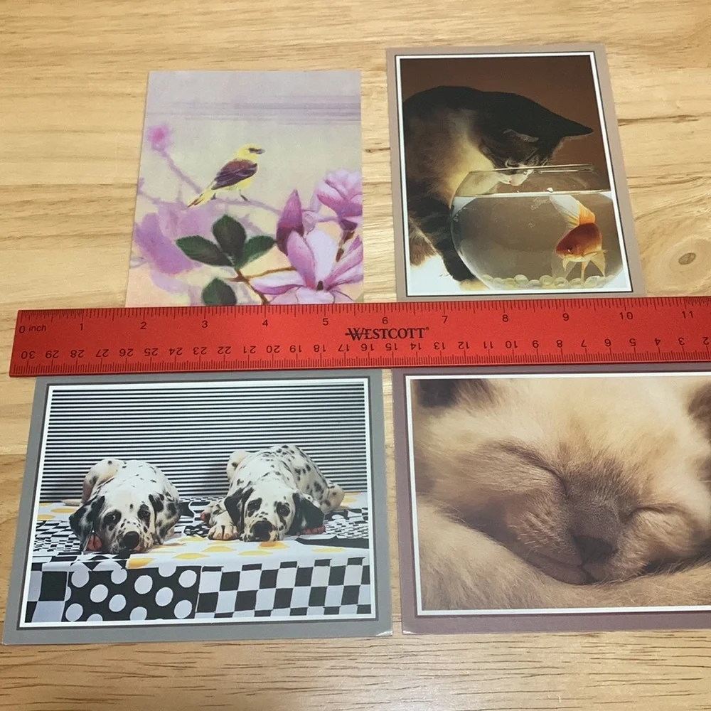 Lot of 19 blank cards with birds, cats and dogs on the fronts. Photos & art